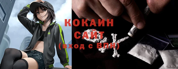дживик Володарск