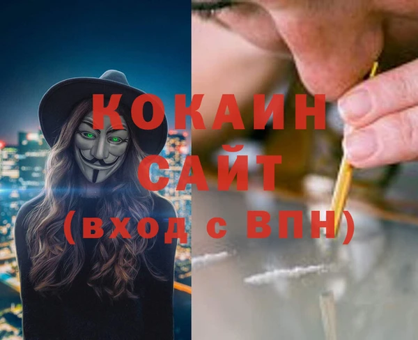 дживик Володарск
