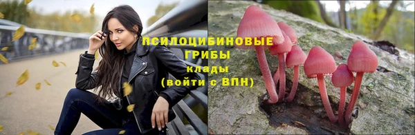 ECSTASY Волосово
