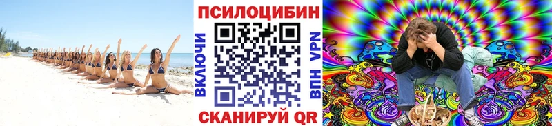 Галлюциногенные грибы прущие грибы  Купить где  Яблоновский 